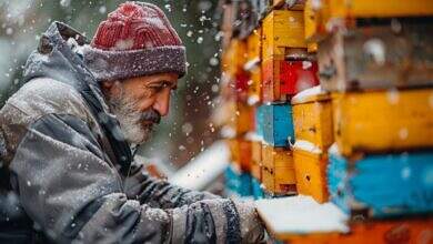 الشتاء في أوروبا صورة تعبيرية (freepik)