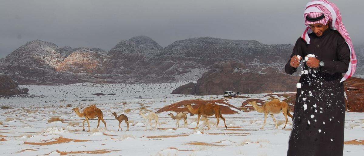 موجة قطبية في السعودية