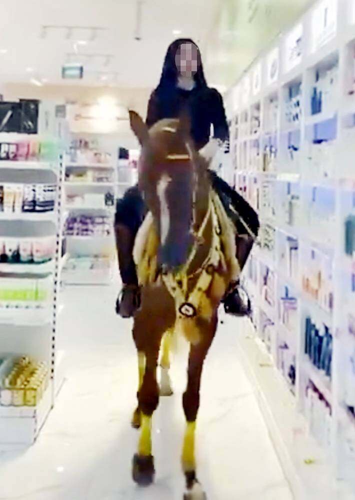 حصان بالصيديلية في السعودية