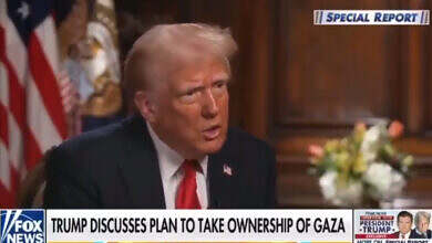 لقطة شاشة 2025-02-10 210029