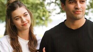 طائر الرفراف