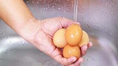غسل البيض 0
