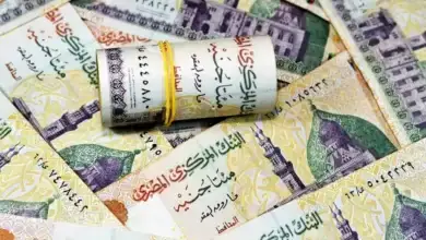 الجنيه المصري