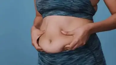 الدهون الحشوية