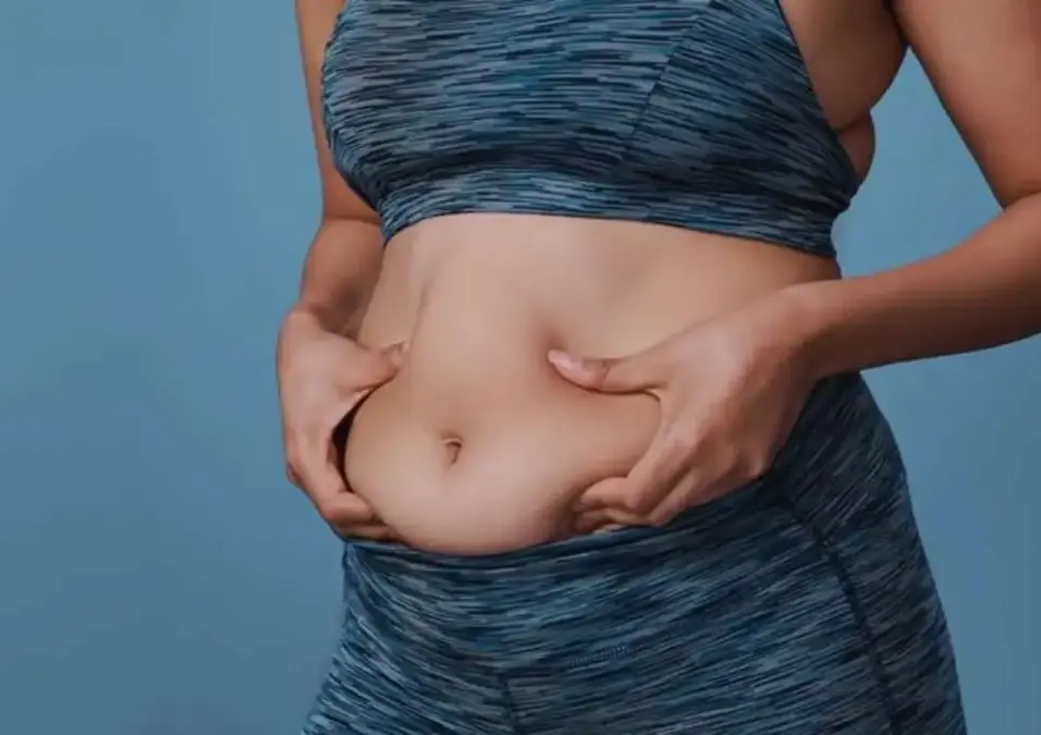 الدهون الحشوية