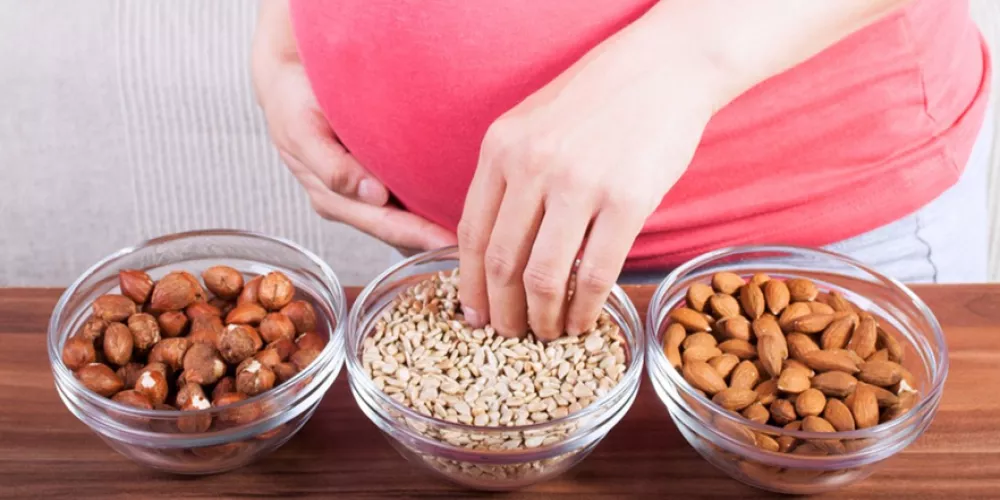 المكسرات والحامل