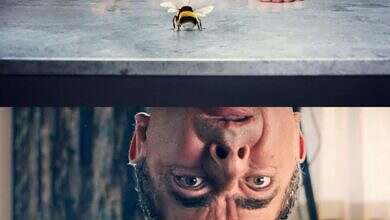 Man vs Bee