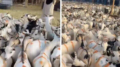 لقطة شاشة 2025-05-18 214205