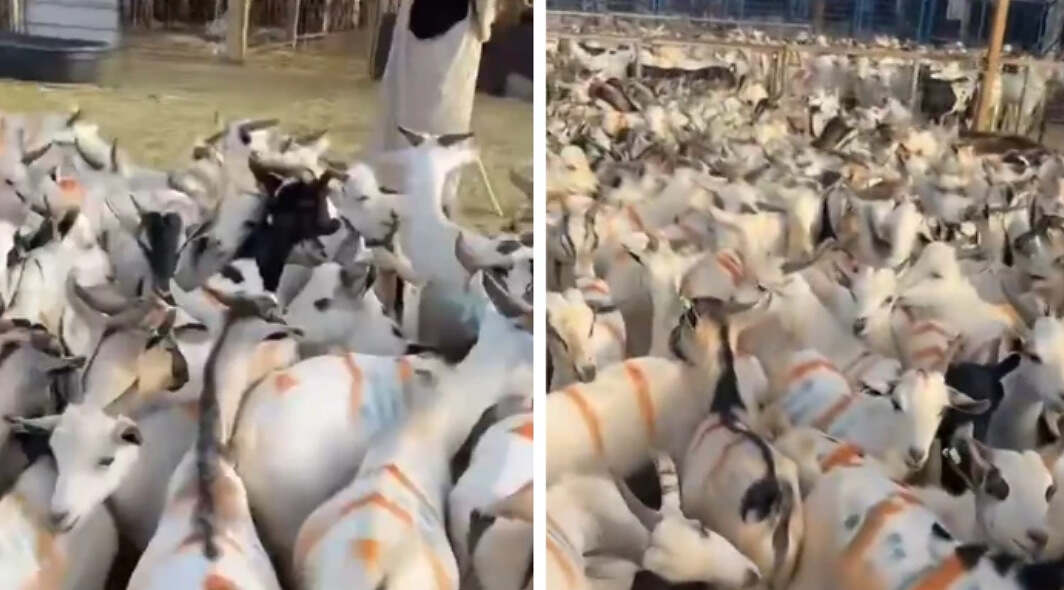 لقطة شاشة 2025-05-18 214205