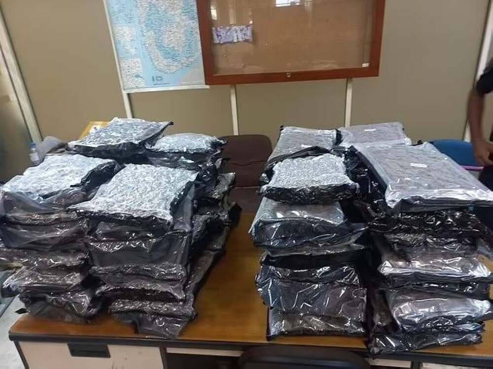 الحشيش المهرب