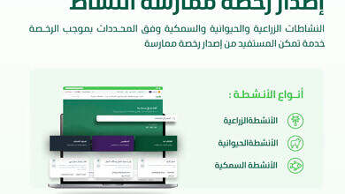 لقطة شاشة 2025-05-19 215639