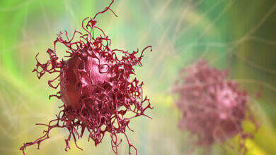 683046d04c59b751765f7ac1