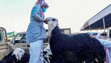 الاصاحي-السعودية-