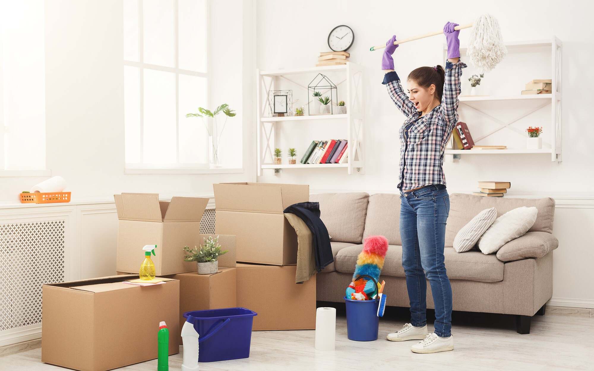 تنظيم المنزل