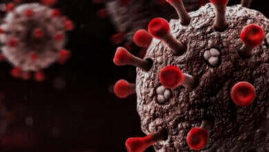 6836ce954c59b72a442adb9e