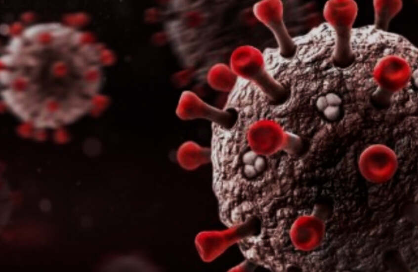 6836ce954c59b72a442adb9e