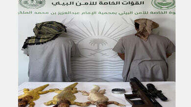 لقطة شاشة 2025-06-03 225459