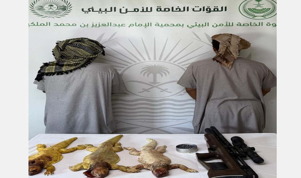 لقطة شاشة 2025-06-03 225459