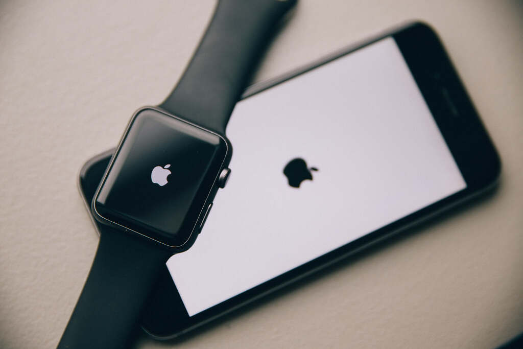 30465135012_8243ddb0d2_b