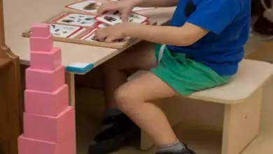 أنشطة ترفيهية للأطفال