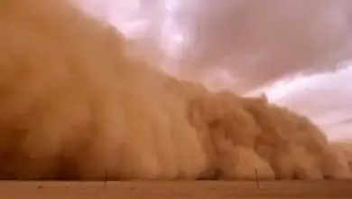 موجة غبار تضرب السعودية