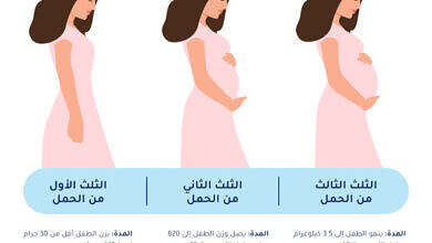 غداء الحامل في الربع الثاني من الحمل