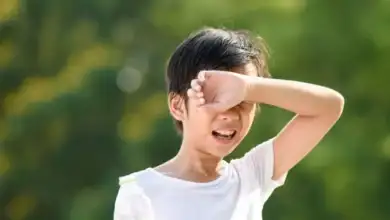 ضربات الشمس الصيفية