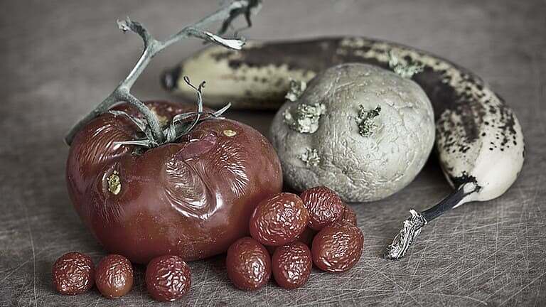 فساد الطعام في الصيف