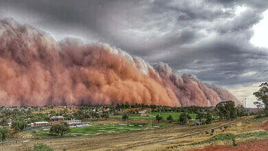 9879999_resized_1200x800