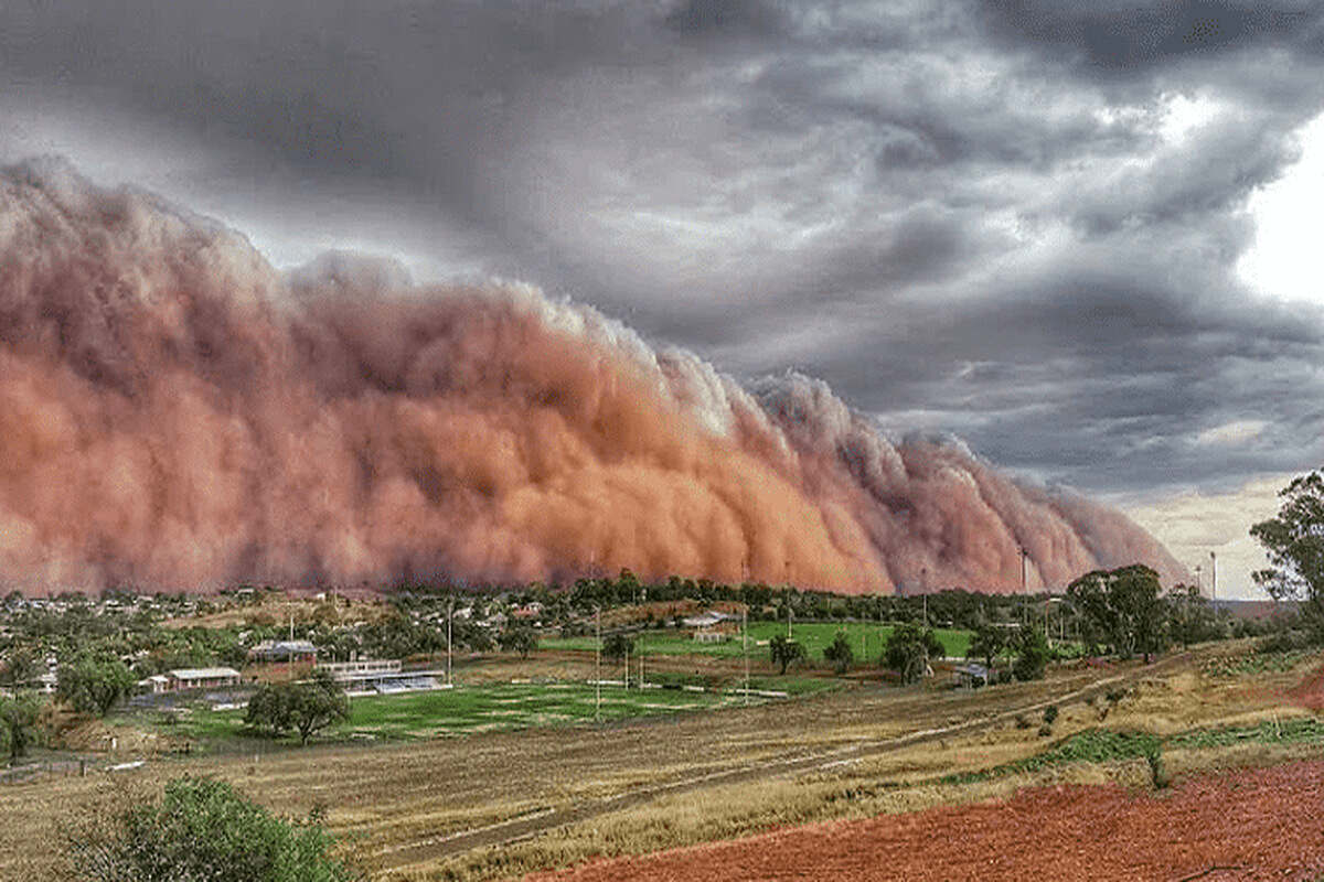 9879999_resized_1200x800