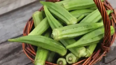 البامية ومرضى السكري