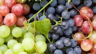 YF2024-08-06-12-00-38-310809