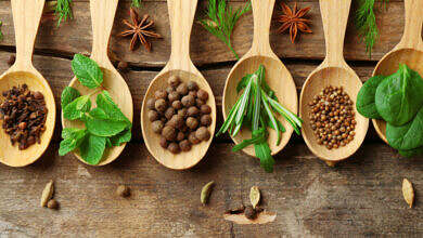 tbl_articles_article_23331_837684930e4-aa56-44f5-b87e-a3e3cd22c3d6