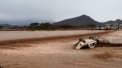 0980-تريندي نيوز-