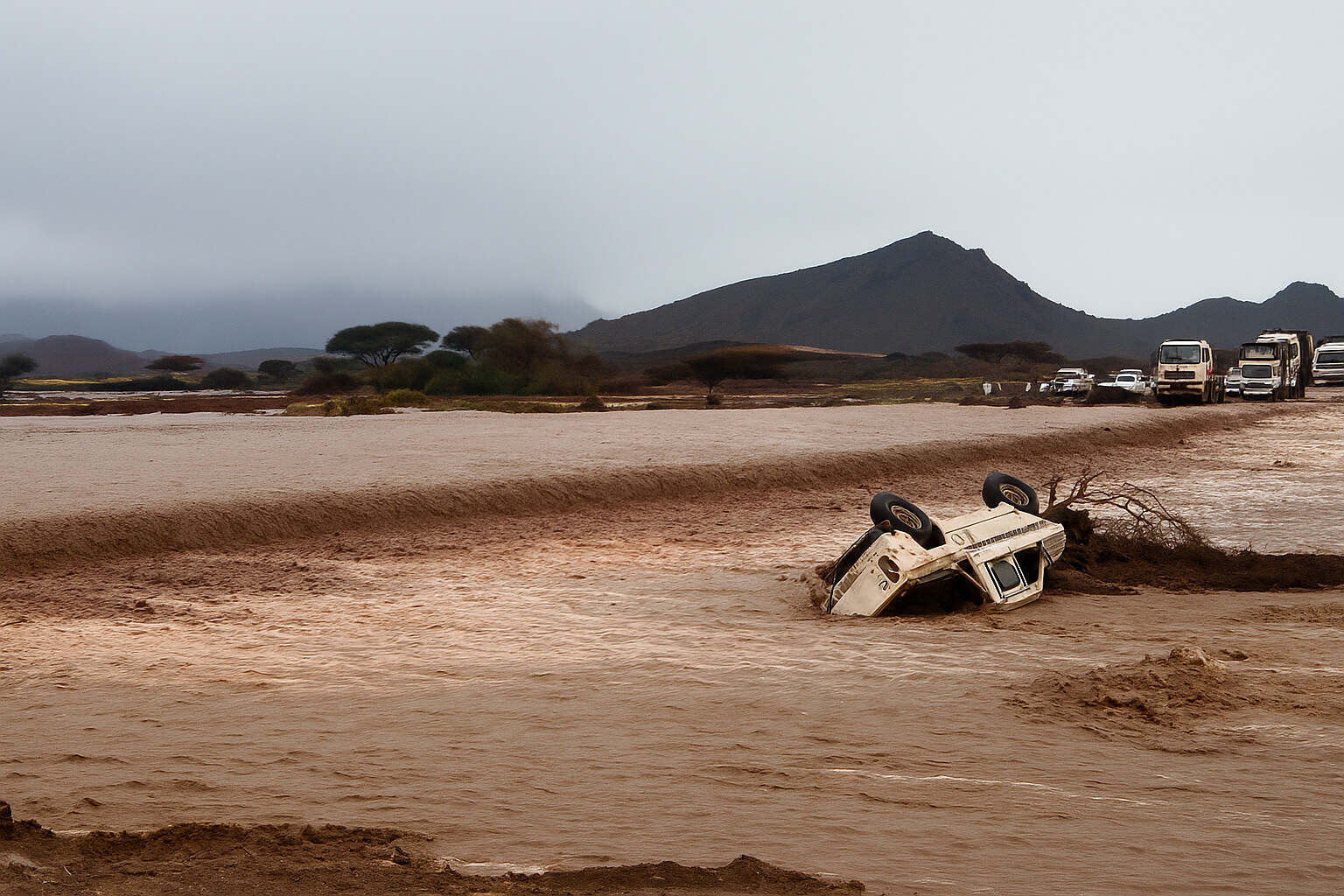 0980-تريندي نيوز-