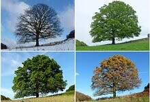 تواريخ الفصول 2026