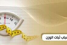 خسارة الوزن، ثبات الوزن،