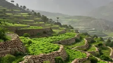 سياحة عسير، قمم السودة،