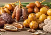 أنواع التمور الخليجية