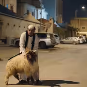 خروف العيد "يحتل" الاستراحة.. عامر يواجه أزمة "خوخو ورور" في مسلسل شباب البومب 14 الحلقة 23