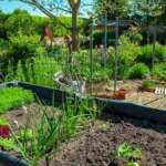 أسرار المحترفين للحفاظ على حديقة منزلية مذهلة طوال الصيف