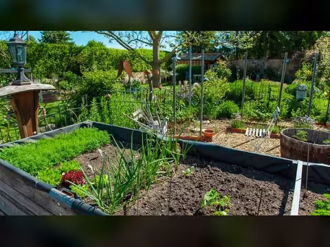 الزراعة-المنزلية-.-الحدائق-المنزلية-4