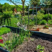 أسرار المحترفين للحفاظ على حديقة منزلية مذهلة طوال الصيف