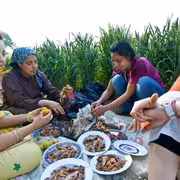 أسرار شم النسيم في مصر.. حكاية أقدم عيد شعبي في التاريخ وطقوس الربيع التي لا تنتهي